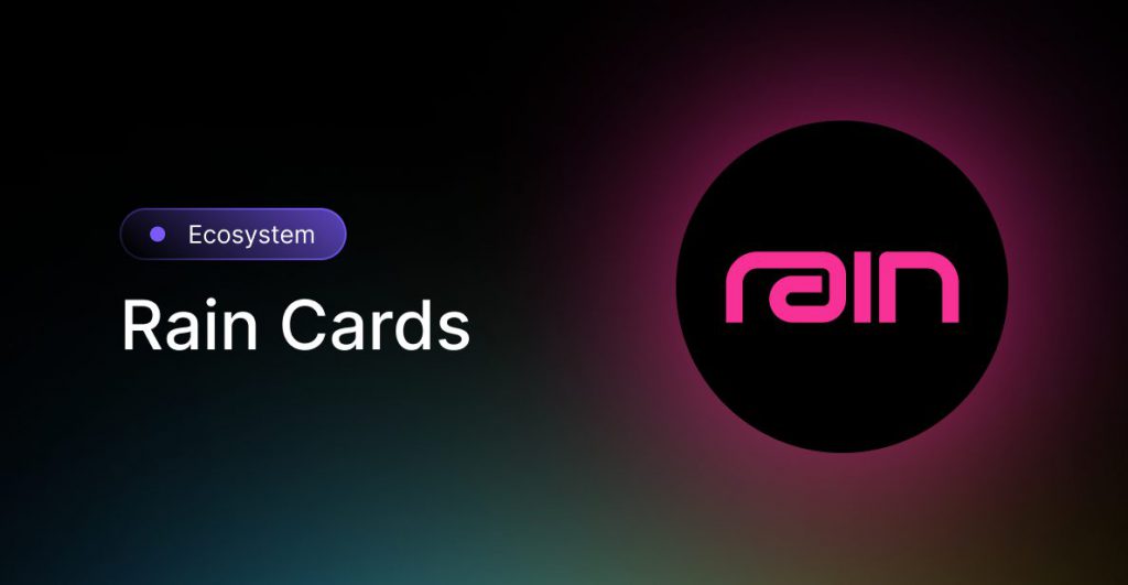 Rain Visa Stablecoin