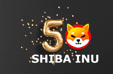 Shiba Inu SHIB 5 Years