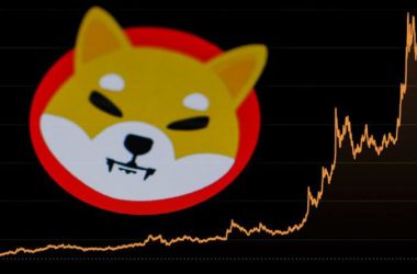 Shiba Inu Soaring
