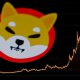 Shiba Inu Soaring