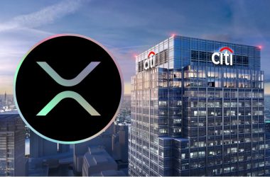 citigroup xrp ripple market cap