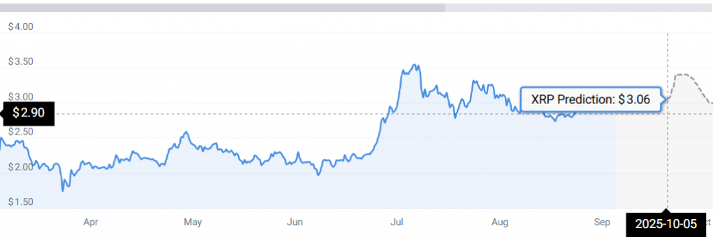 XRP STATS