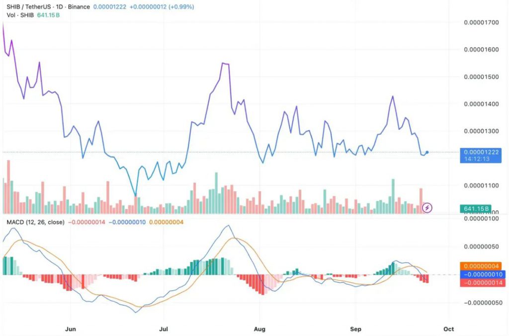 SHIB Price Chart Shows Critical Support