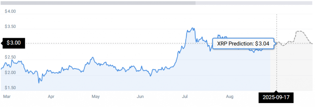 XRP STATS