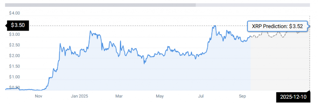 XRP STATS
