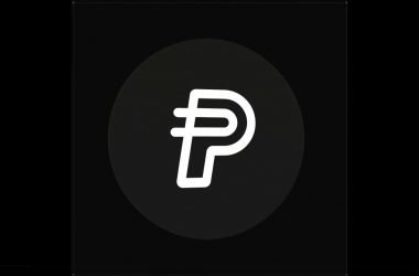 PayPal PYUSD logo design