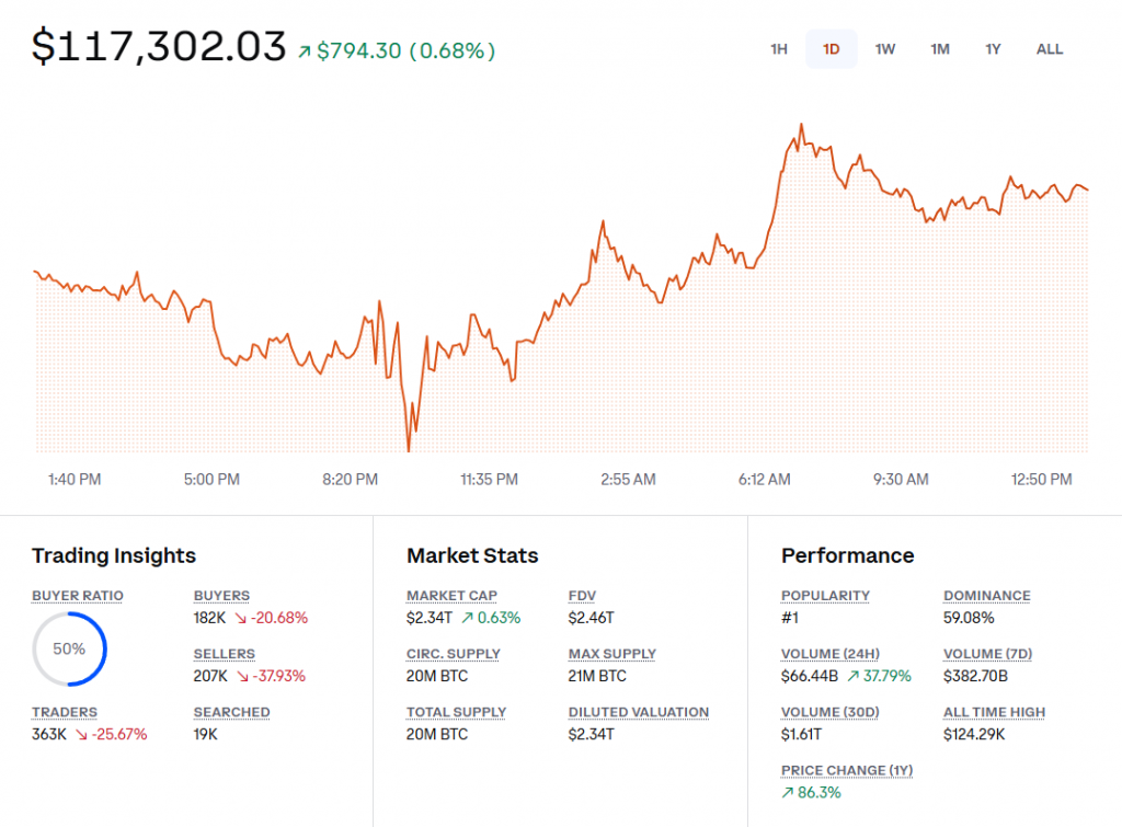 Bitcoin price chart showing $117,302.03