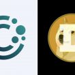 CleanCore Dogecoin tresury