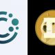 CleanCore Dogecoin tresury
