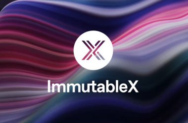 Immutable X logo wavy background