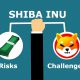 shiba inu shib risks challenges