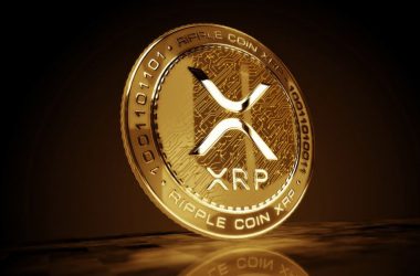 XRP Tokens How Many You Need to Secure a Fortune