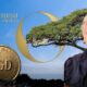 Zambesi Gold Precious Metal Supported Token