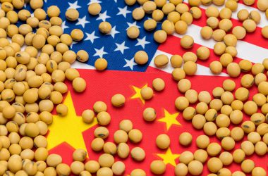 China USA Flags Soybeans