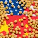 China USA Flags Soybeans