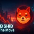 Shiba Inu Crashes as 138B SHIB Moves and Team Signals Recovery
