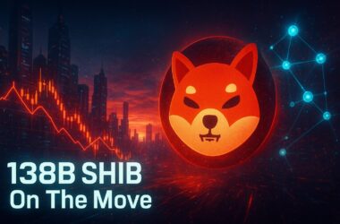 Shiba Inu Crashes as 138B SHIB Moves and Team Signals Recovery