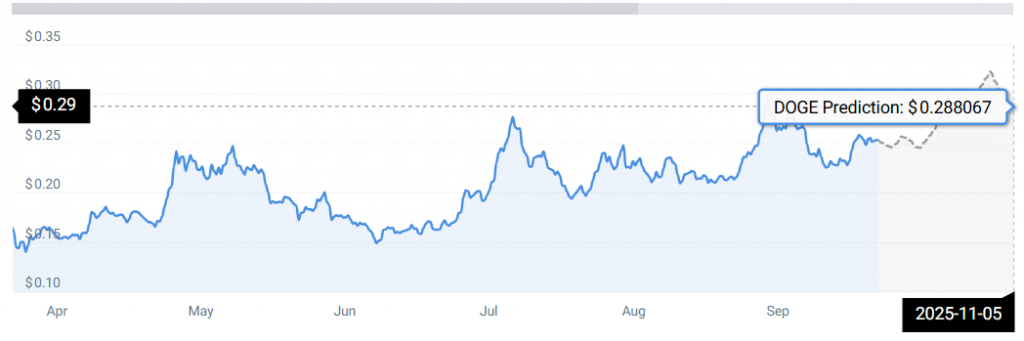 DOGE STATS