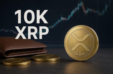 Only 4% Hold 10K XRP