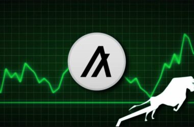 Algorand price rally