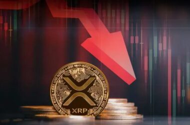 Will XRP Go Back Up After Drop