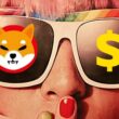 shiba inu dollar money