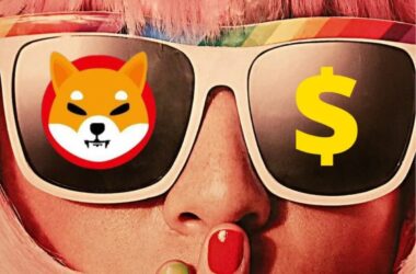 shiba inu dollar money
