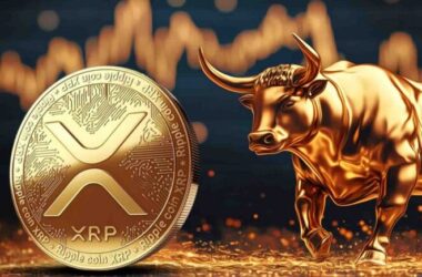 XRP's Biggest Bull Just Made a Prediction Few Saw Coming