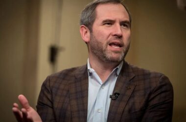 Ripple CEO Reveals Why Banks Still Aren’t Embracing XRP at Scale