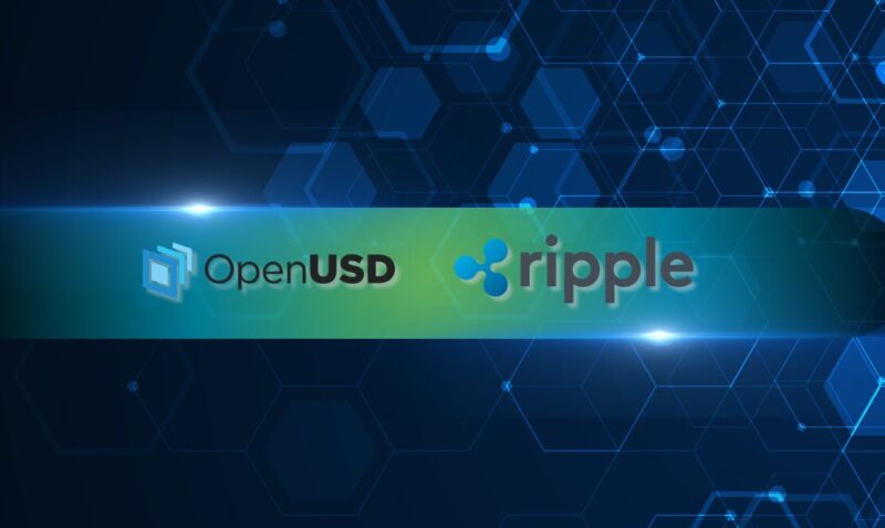 ruth Behind Ripple's New 140-Company Stablecoin Move