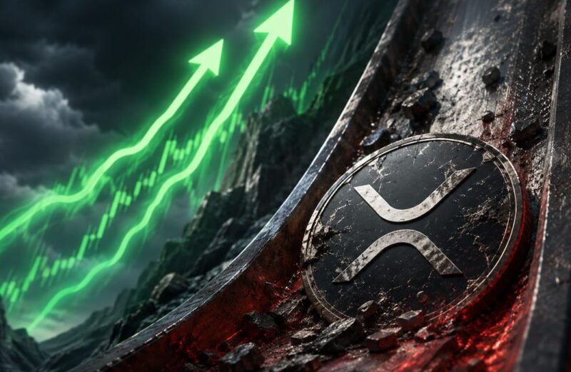 XRP at a Crossroads Sell Everything Now or Wait for a Rebound?