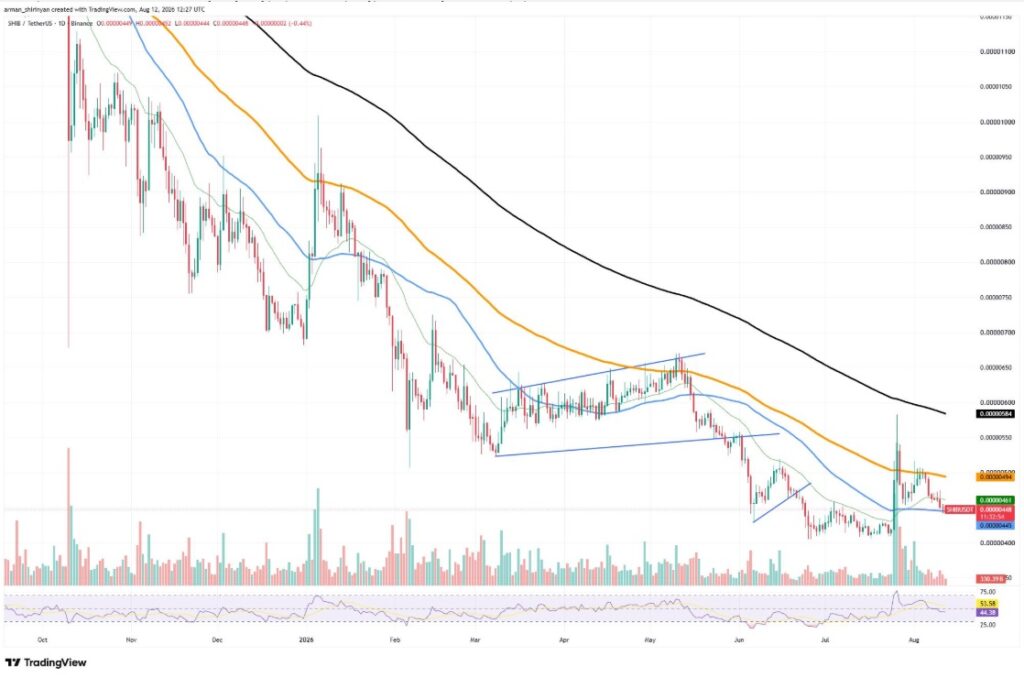 Shiba Inu Futures Open Interest Decline SHIB